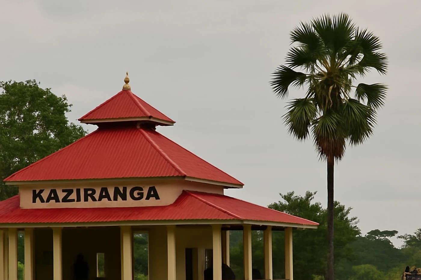 Kaziranga, Meghalaya, Assam and Arunachal Pradesh — route landscape created for this tour guide